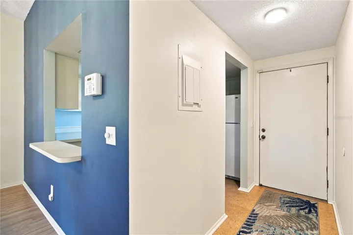 ENTRANCE WITH KITCHEN BAR