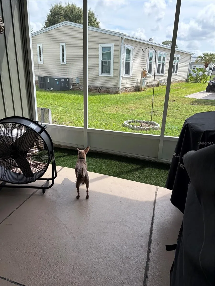 Doggie are enclosed in the screened room
