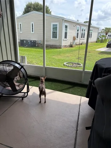 Doggie are enclosed in the screened room