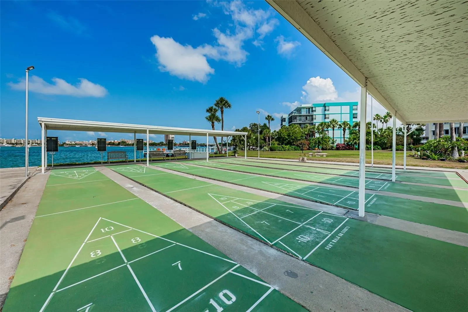 Shuffleboard!