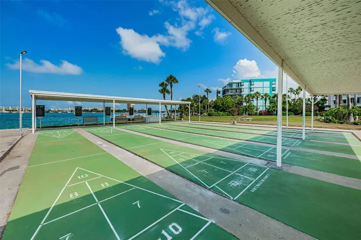 Shuffleboard!