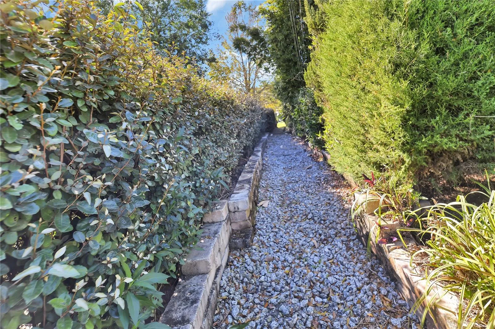 Walkway side of the house