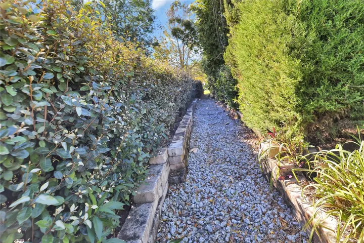 Walkway side of the house