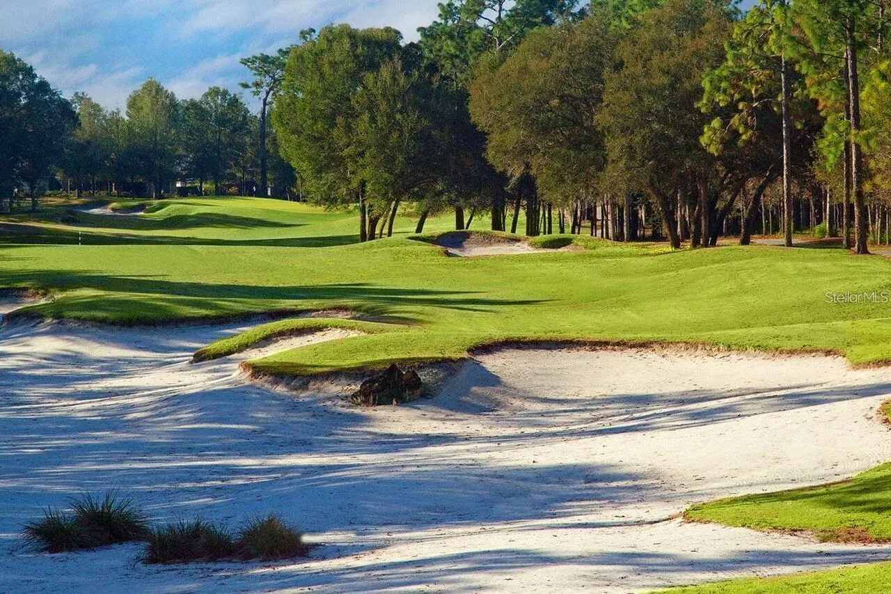 Prize winning golf course