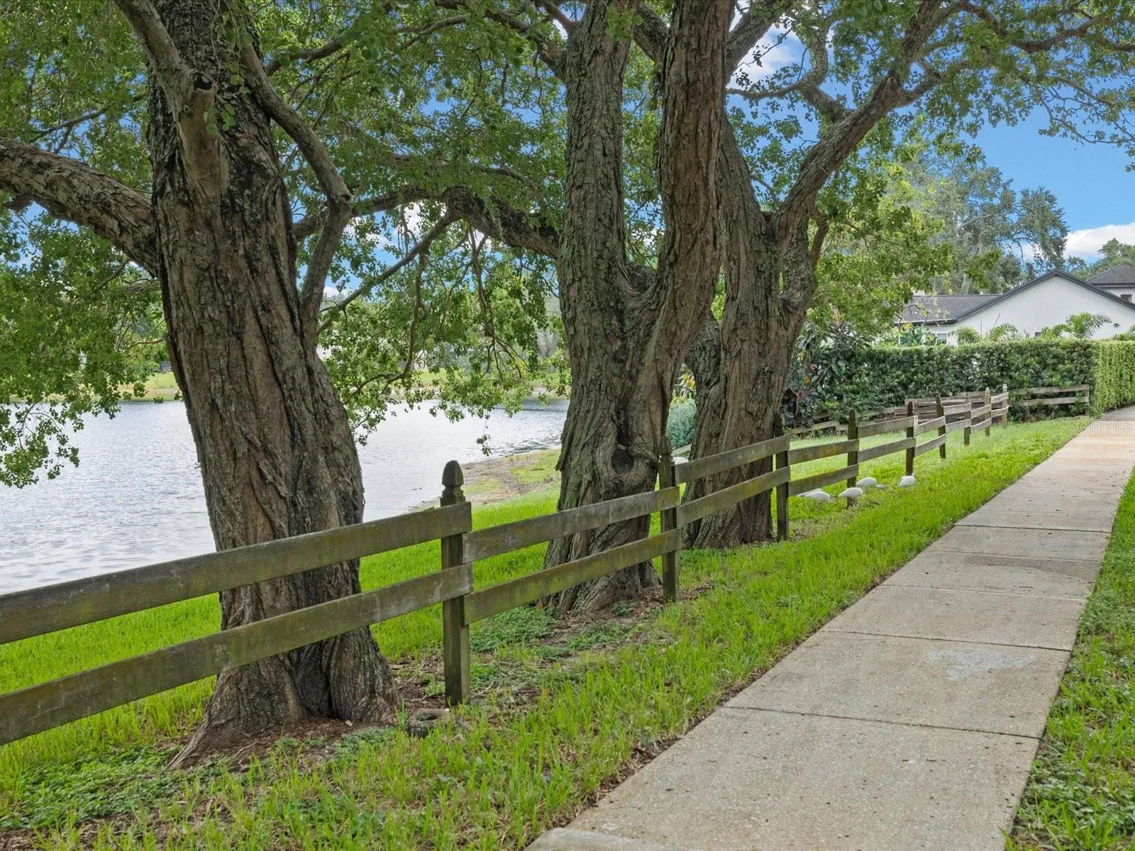 lake valencia park