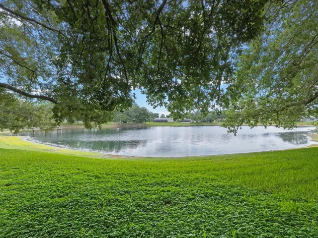 lake valencia park