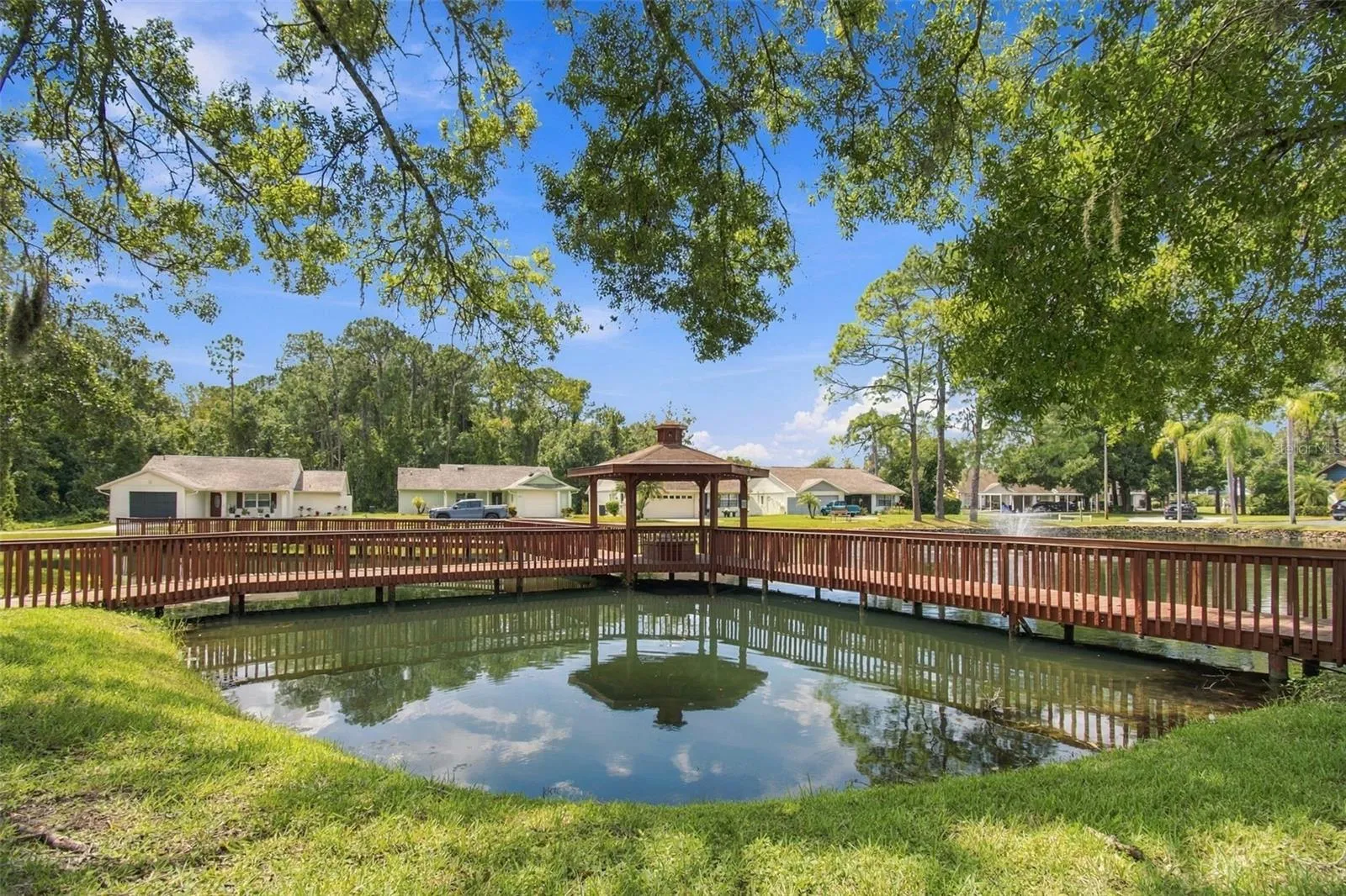 Pond in Neighborhood