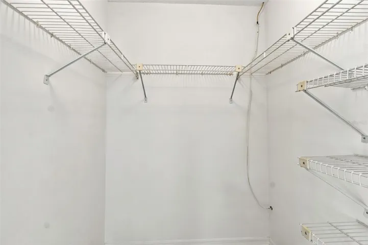 Primary BR Walk-In Closet