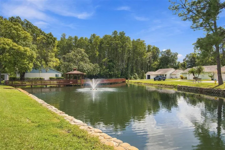Neighborhood Pond