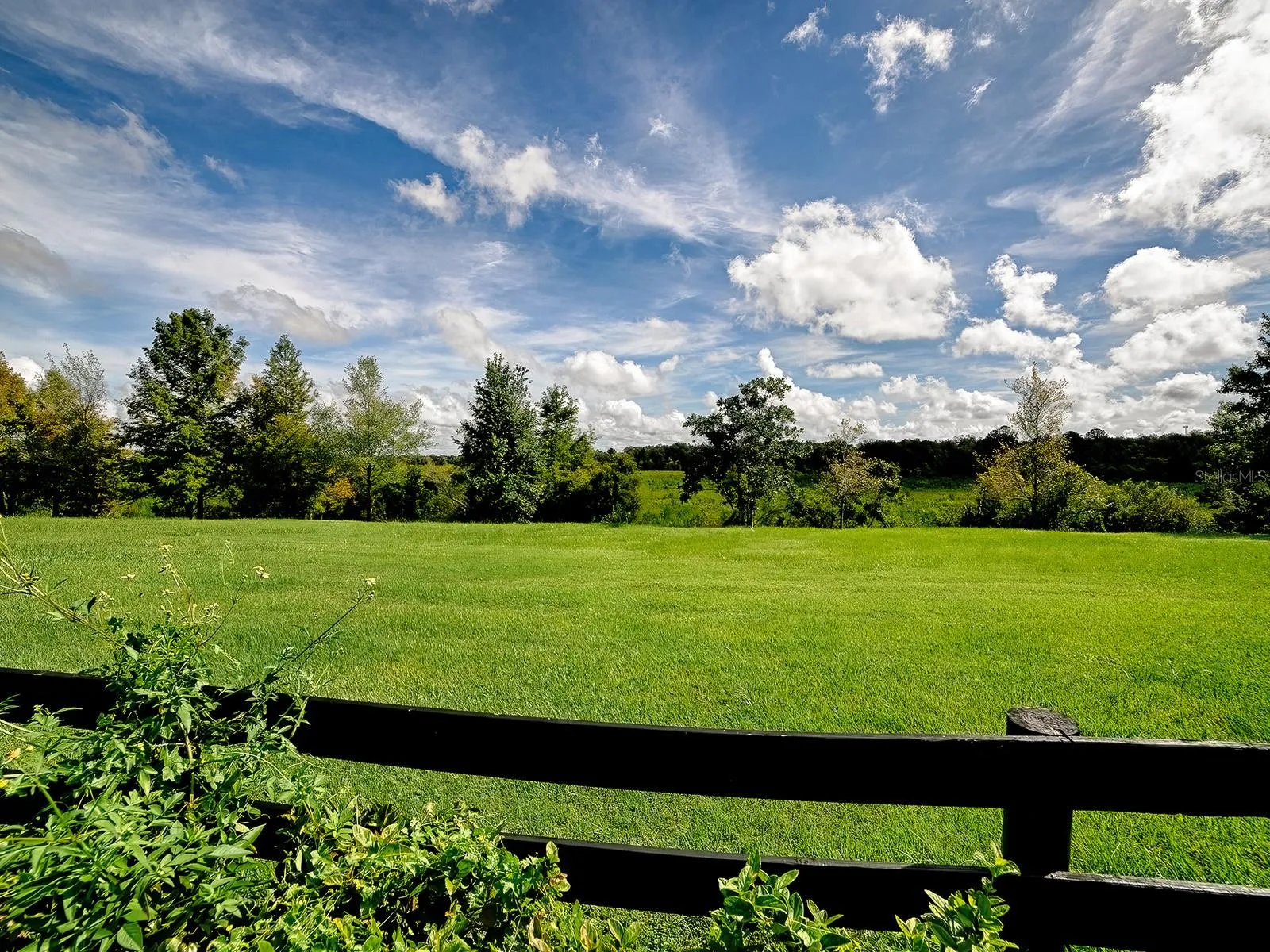 YOUR GORGEOUS PRESERVE VIEW