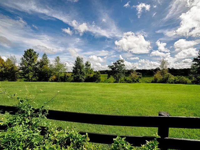 YOUR GORGEOUS PRESERVE VIEW