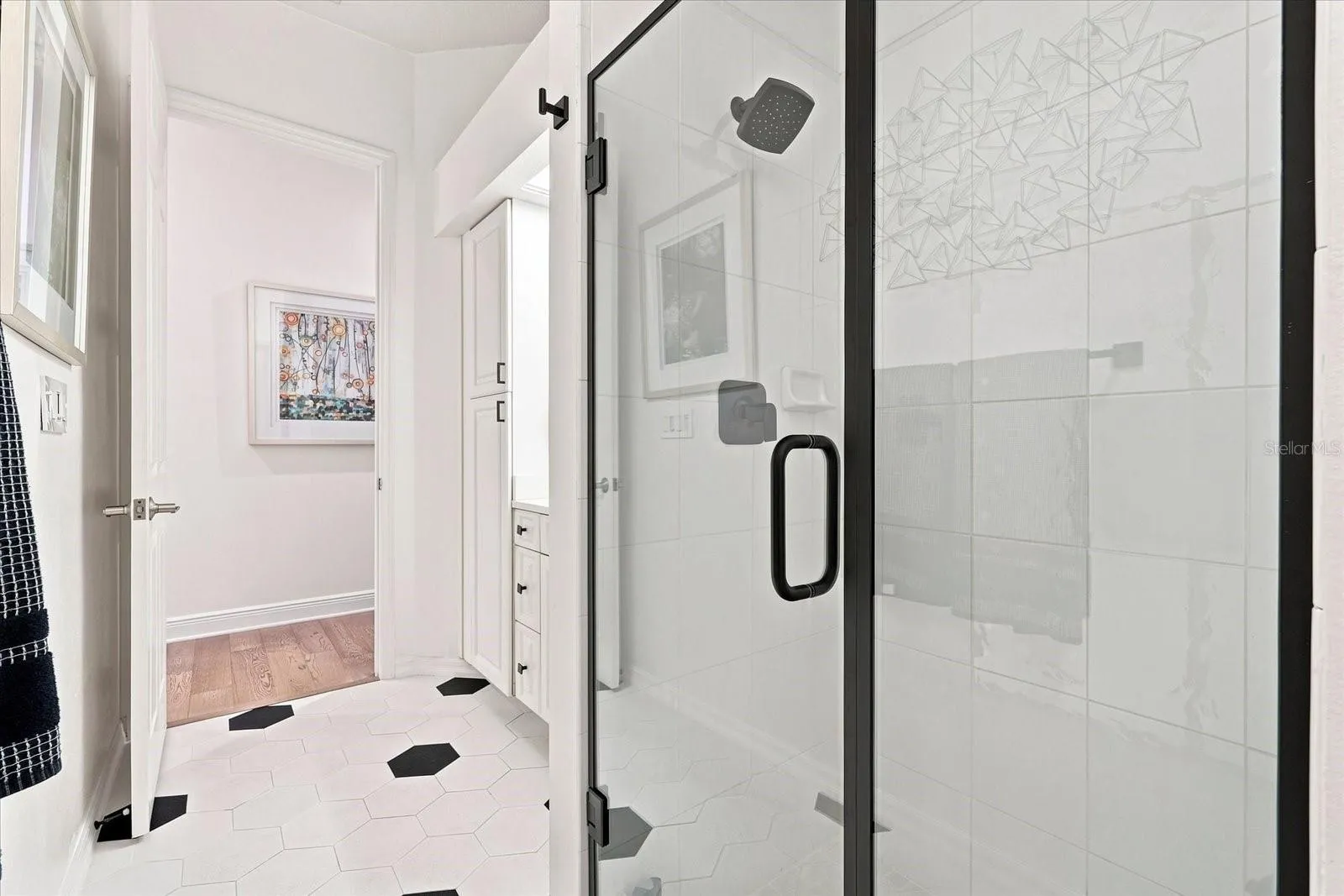 Guest Bath/Pool Bath Shower
