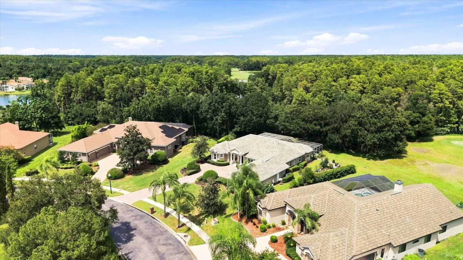 Admire the new Tile Roof from above