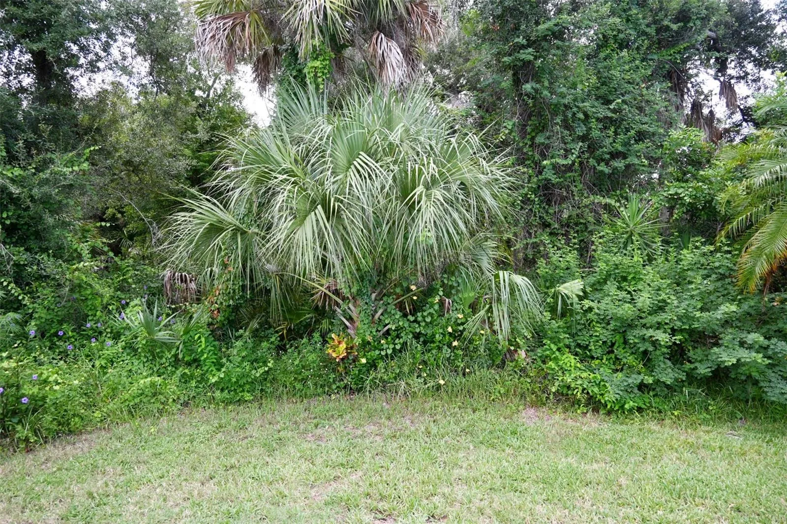Private Preserve Views. Nobody behind you.