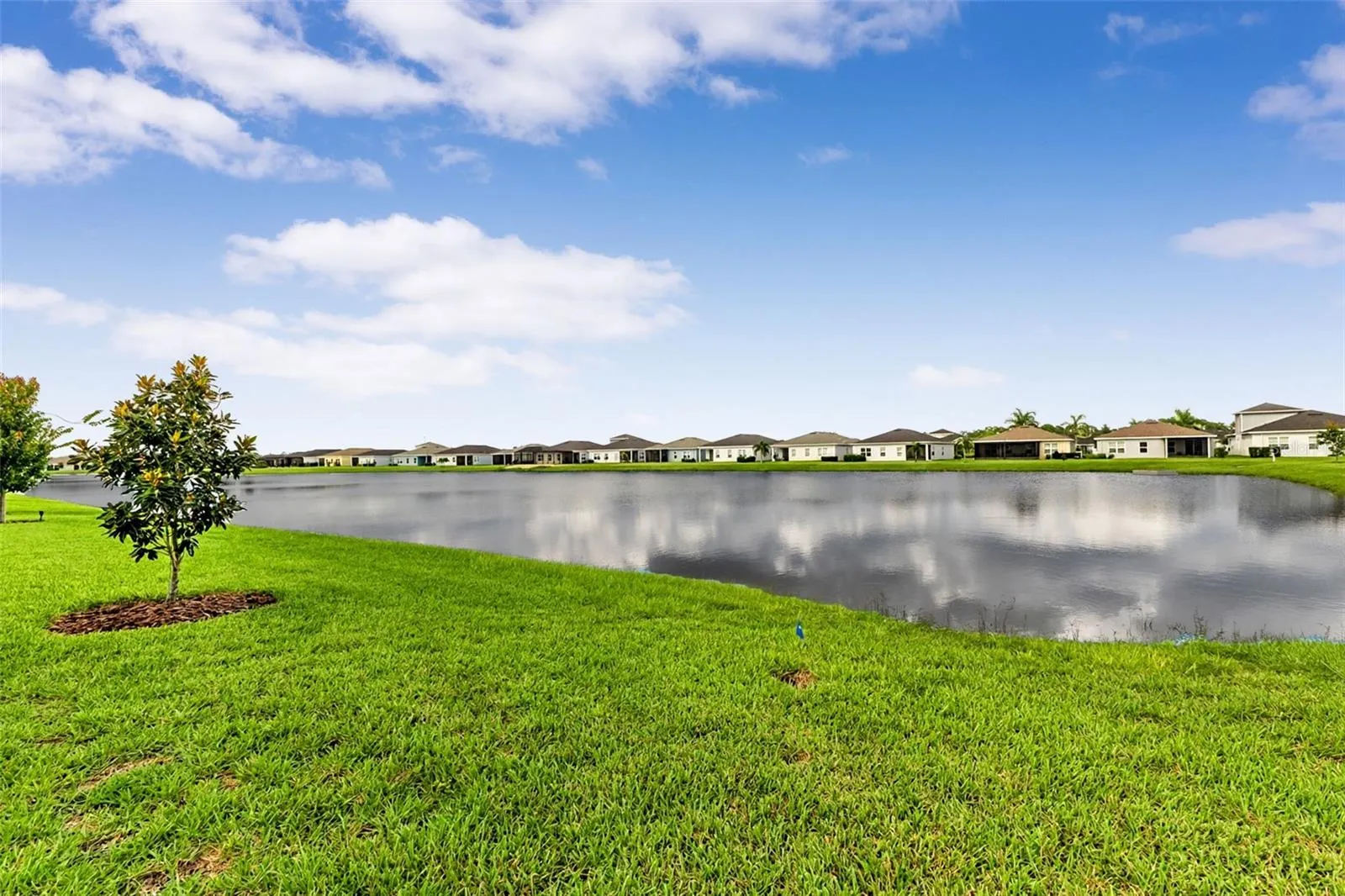 pond view
