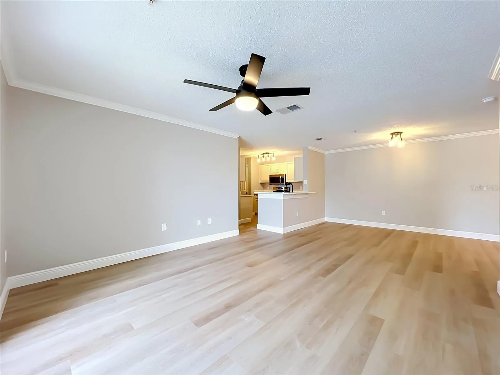 Living Room facing breakfast bar with lake at your back.  Open and Bright