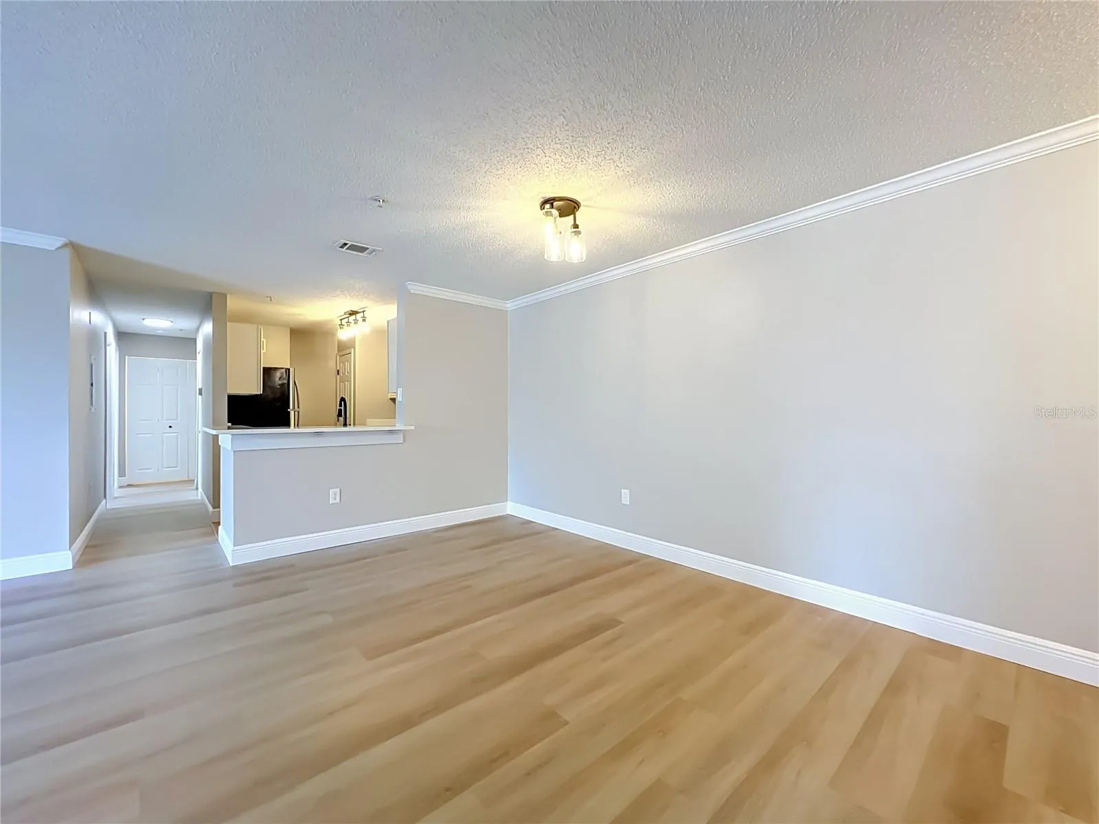 Living Room facing kitchen.