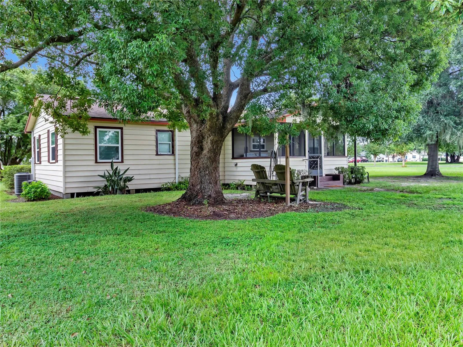 Peaceful backyard offers Fruit trees and A Beautiful Camphor tree for shade!