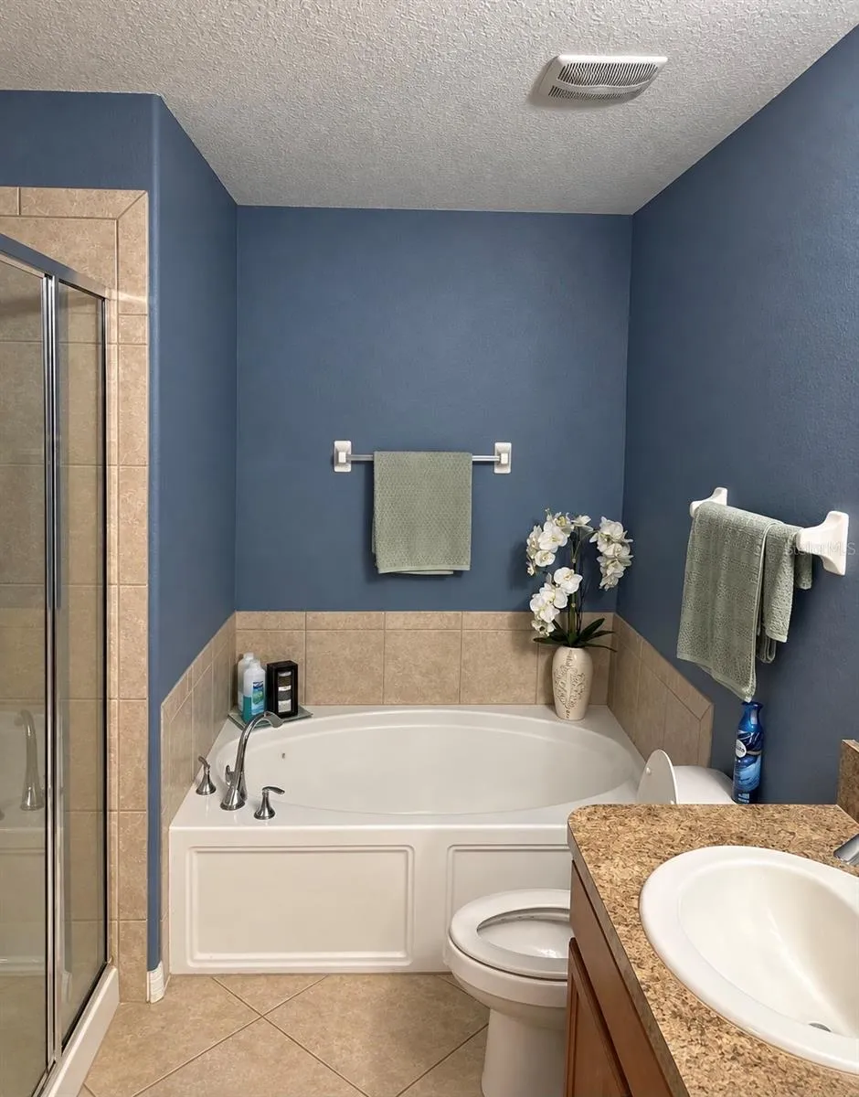 Master bathroom