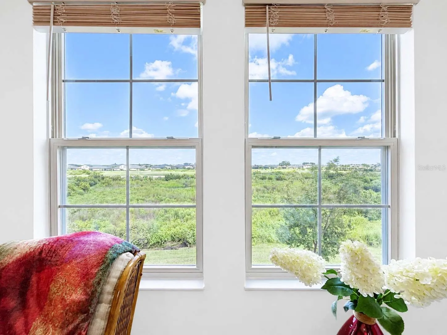 Loft View