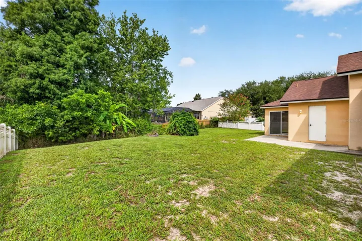 BACK YARD