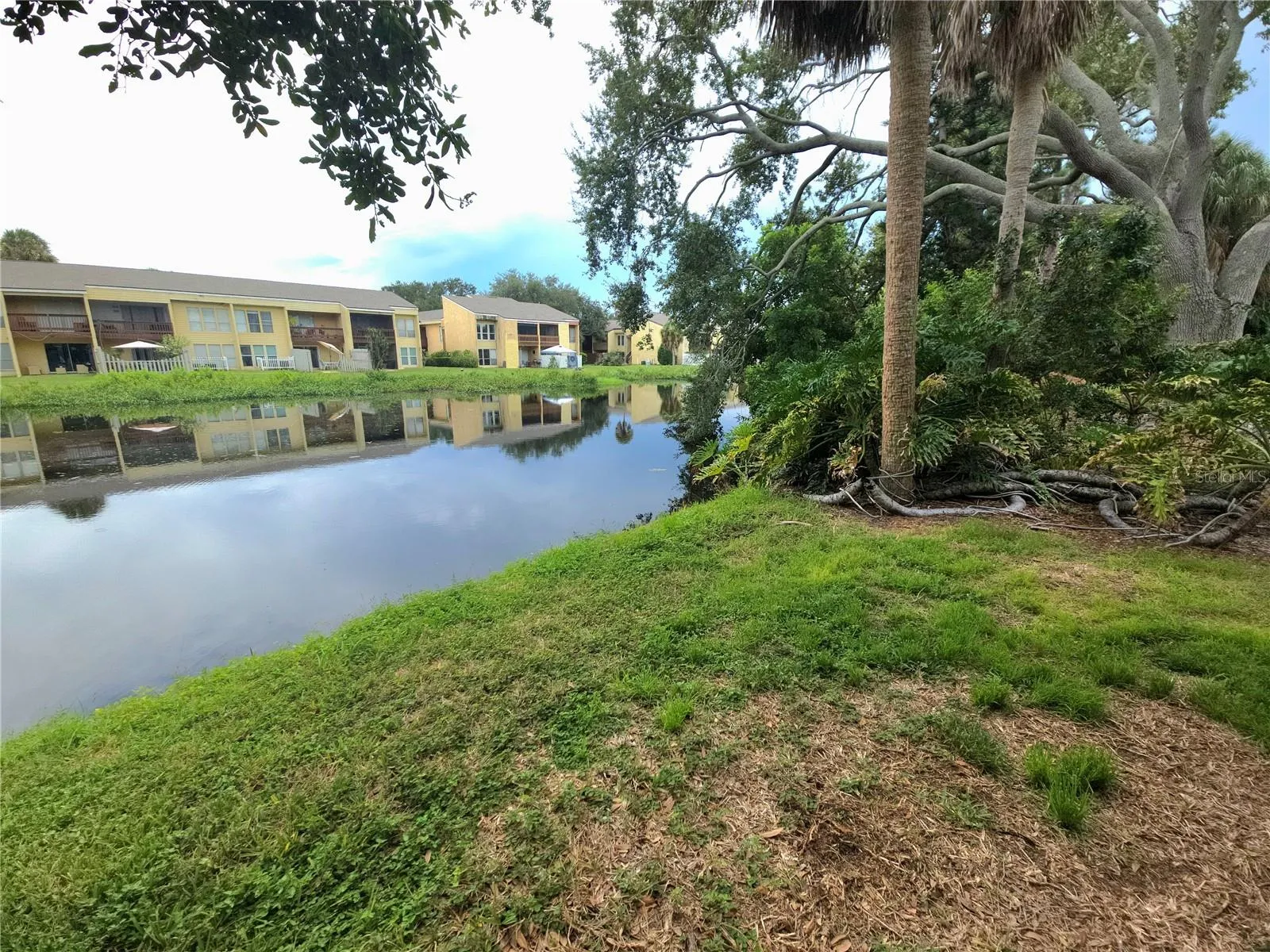 Serene Pond