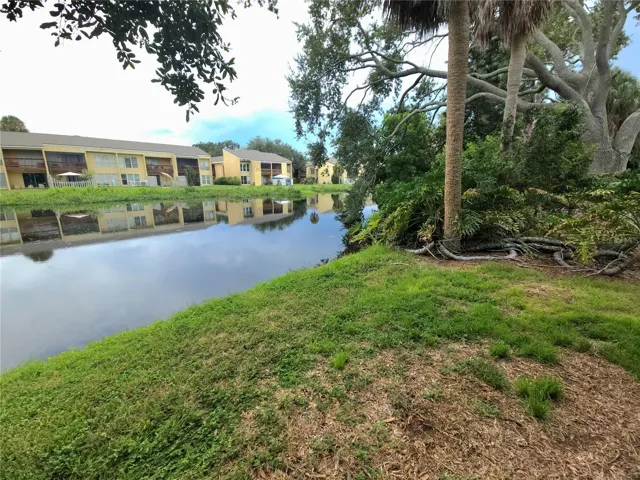 Serene Pond