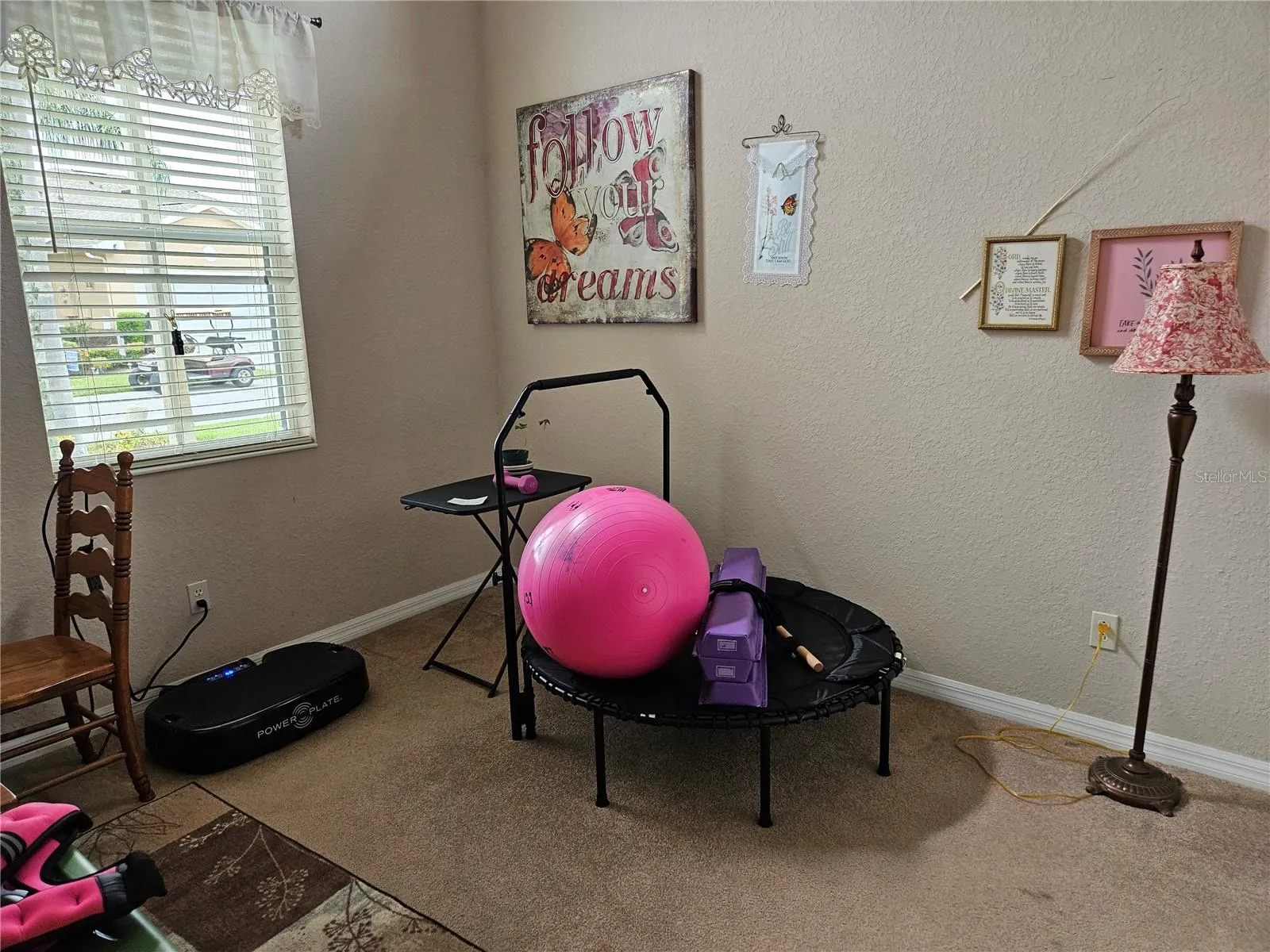 Exercise/Guest bedroom
