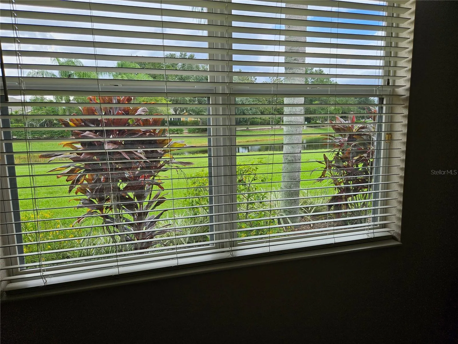 View from Primary bedroom