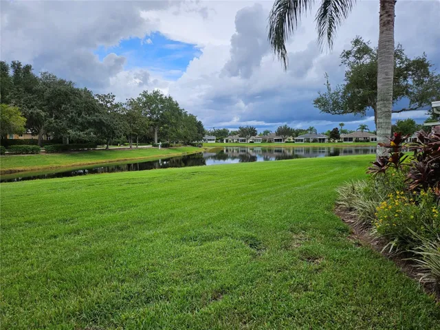 Water view