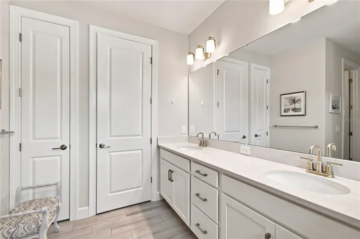 DUAL SINKS