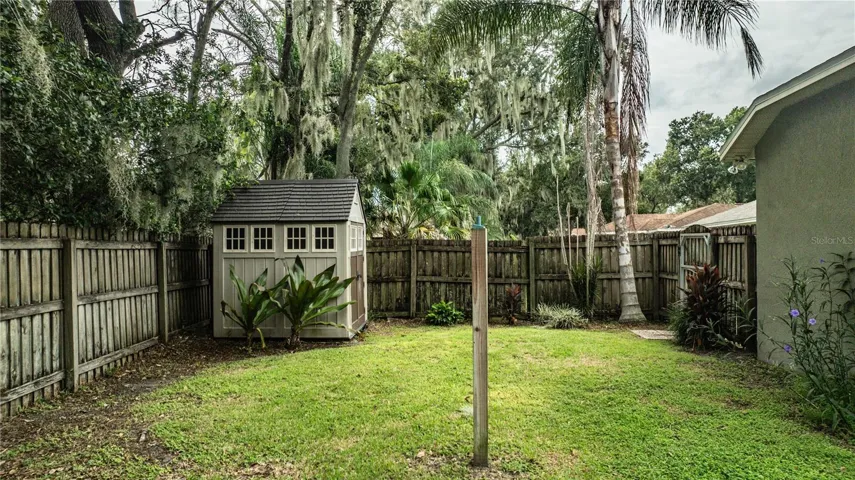 Back Yard