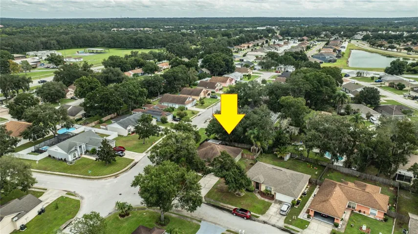 Aerial Community View
