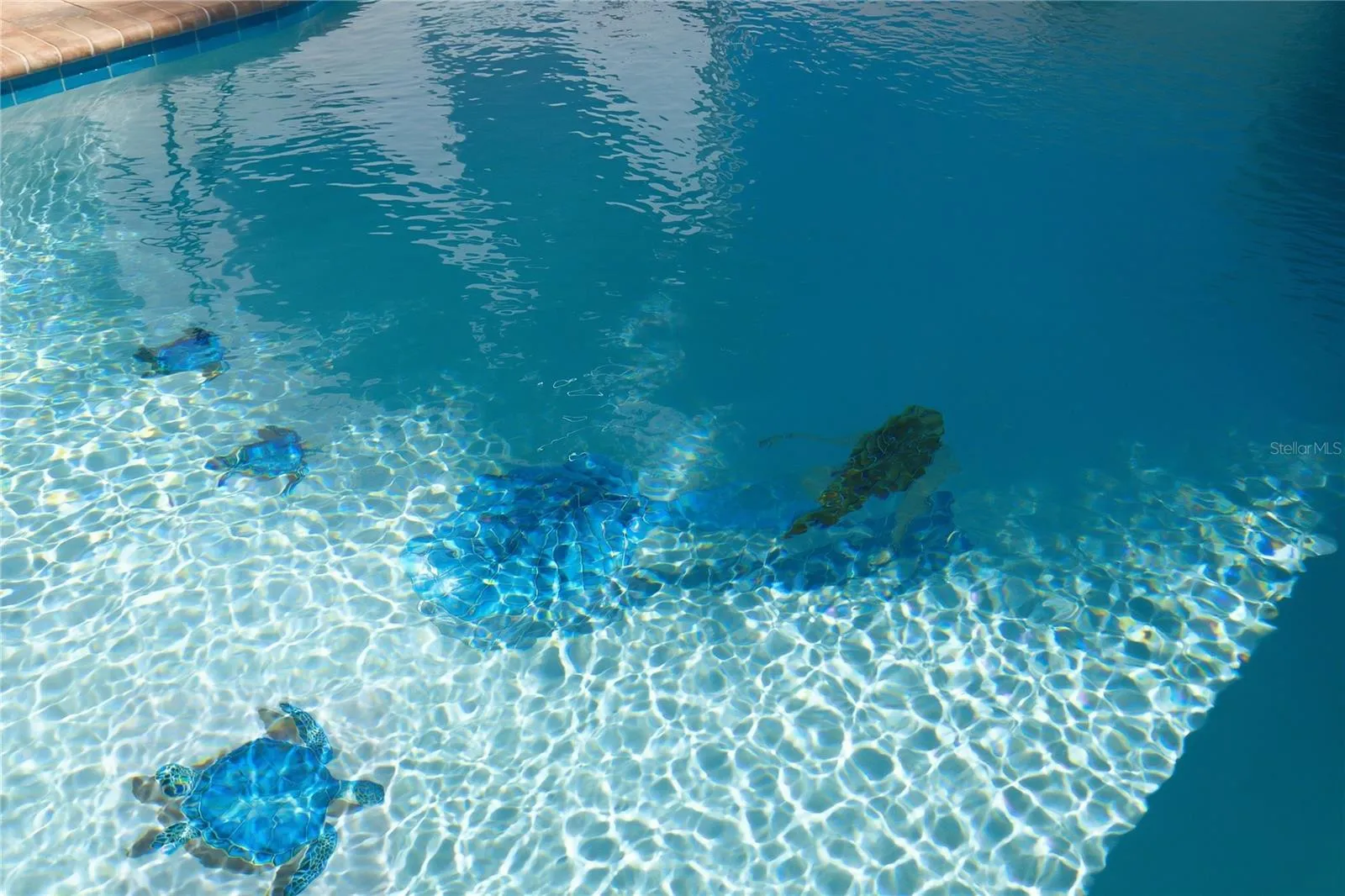 Mosaic Mermaid, Turtles and Fish
