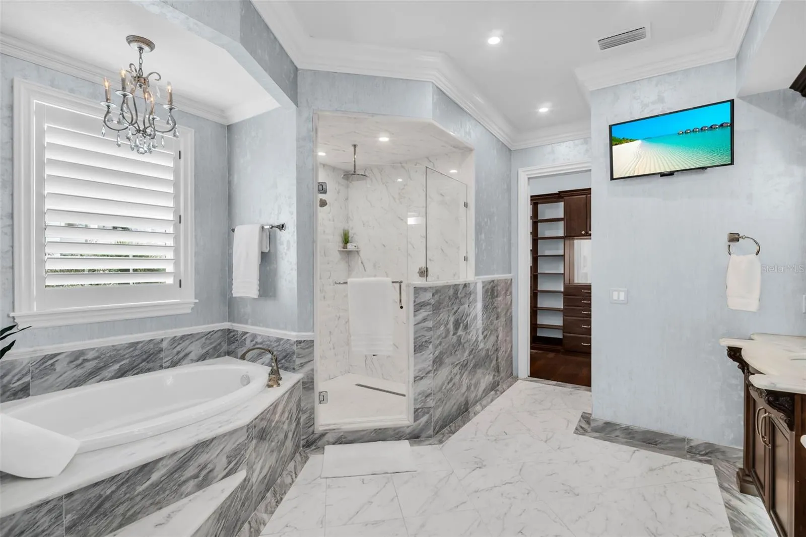Primary tub and shower