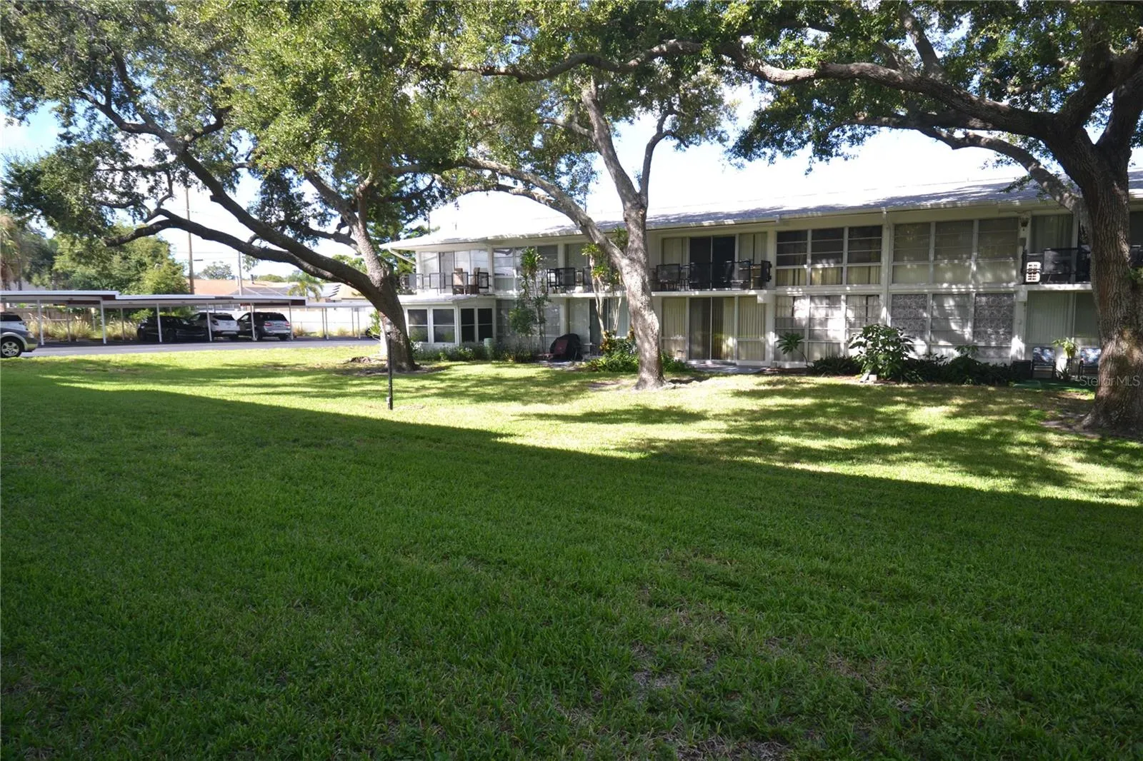 Garden area