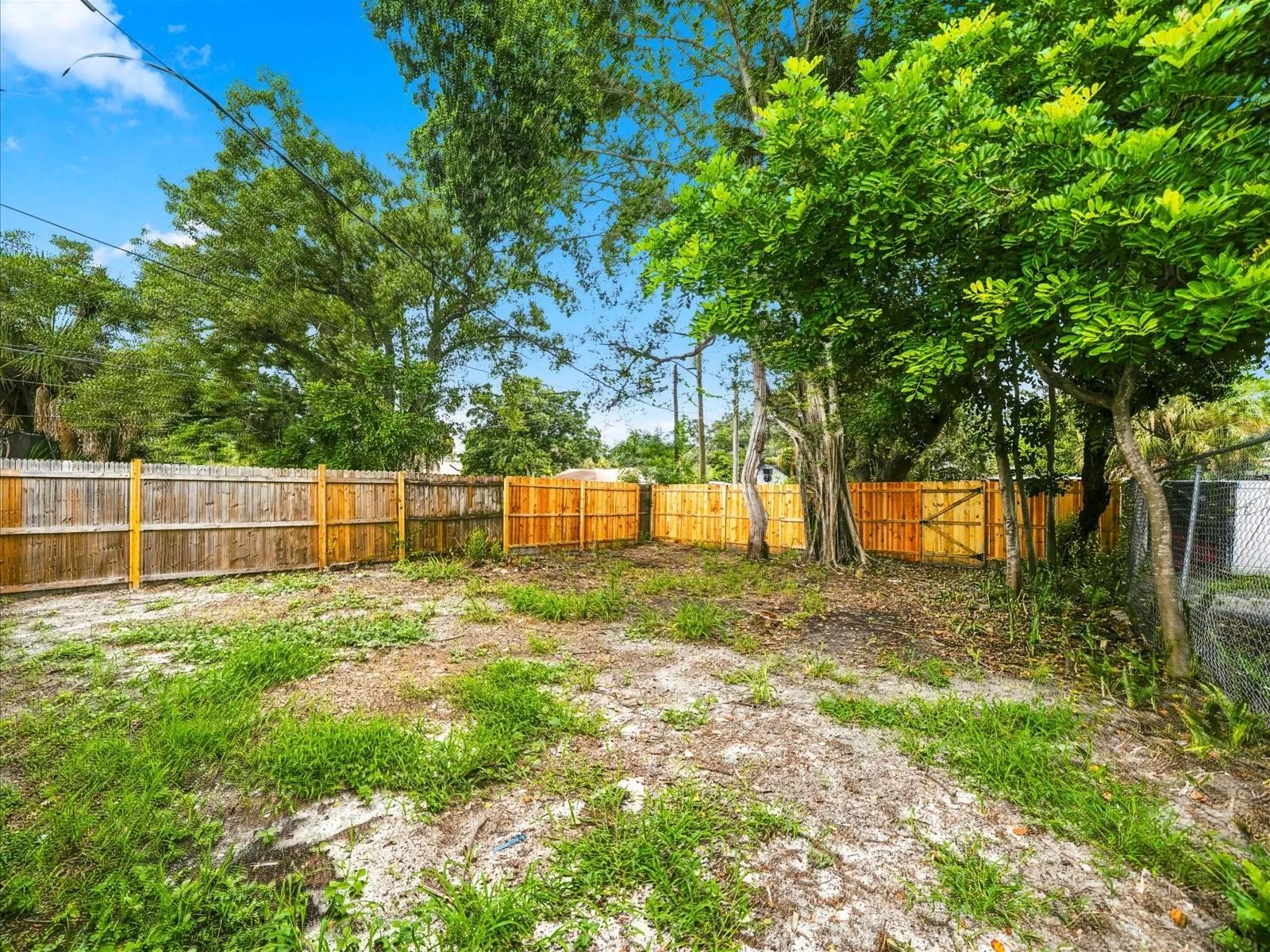 Back Yard