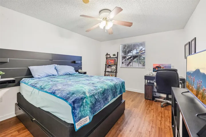 Ceiling fan and plenty of natural light