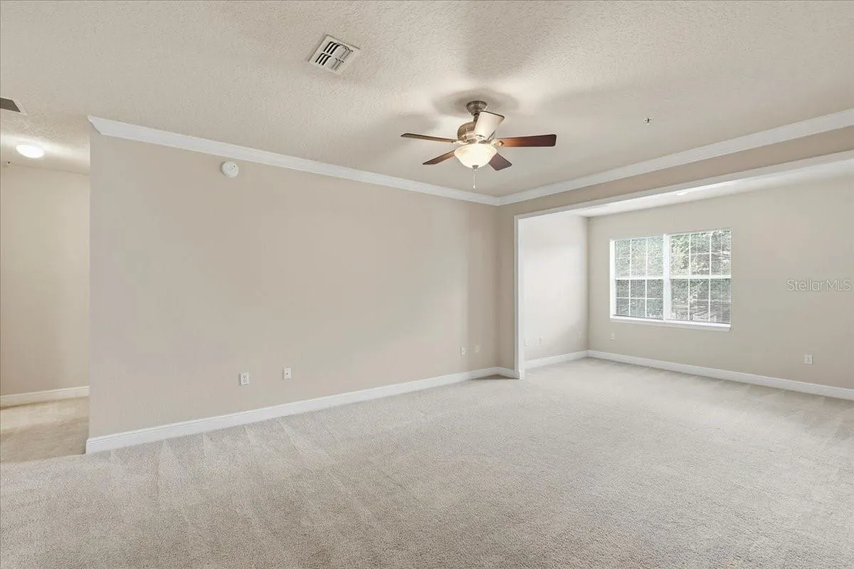 Main Living Space