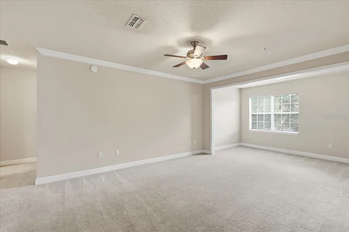 Main Living Space