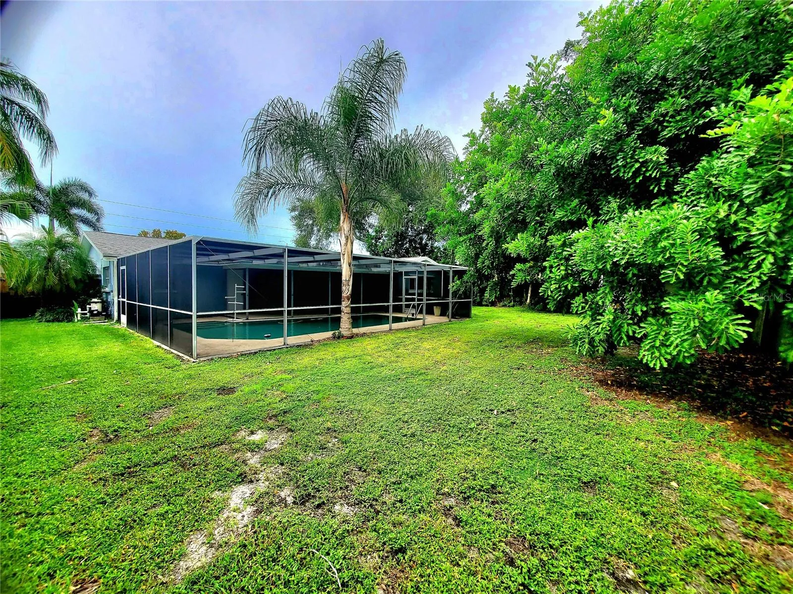 BIG BACKYARD