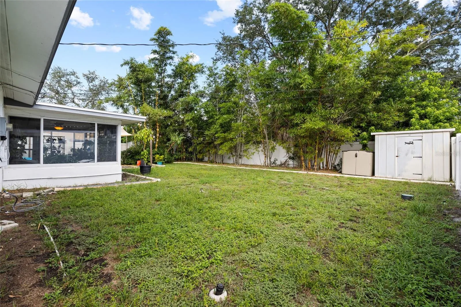 Large backyard