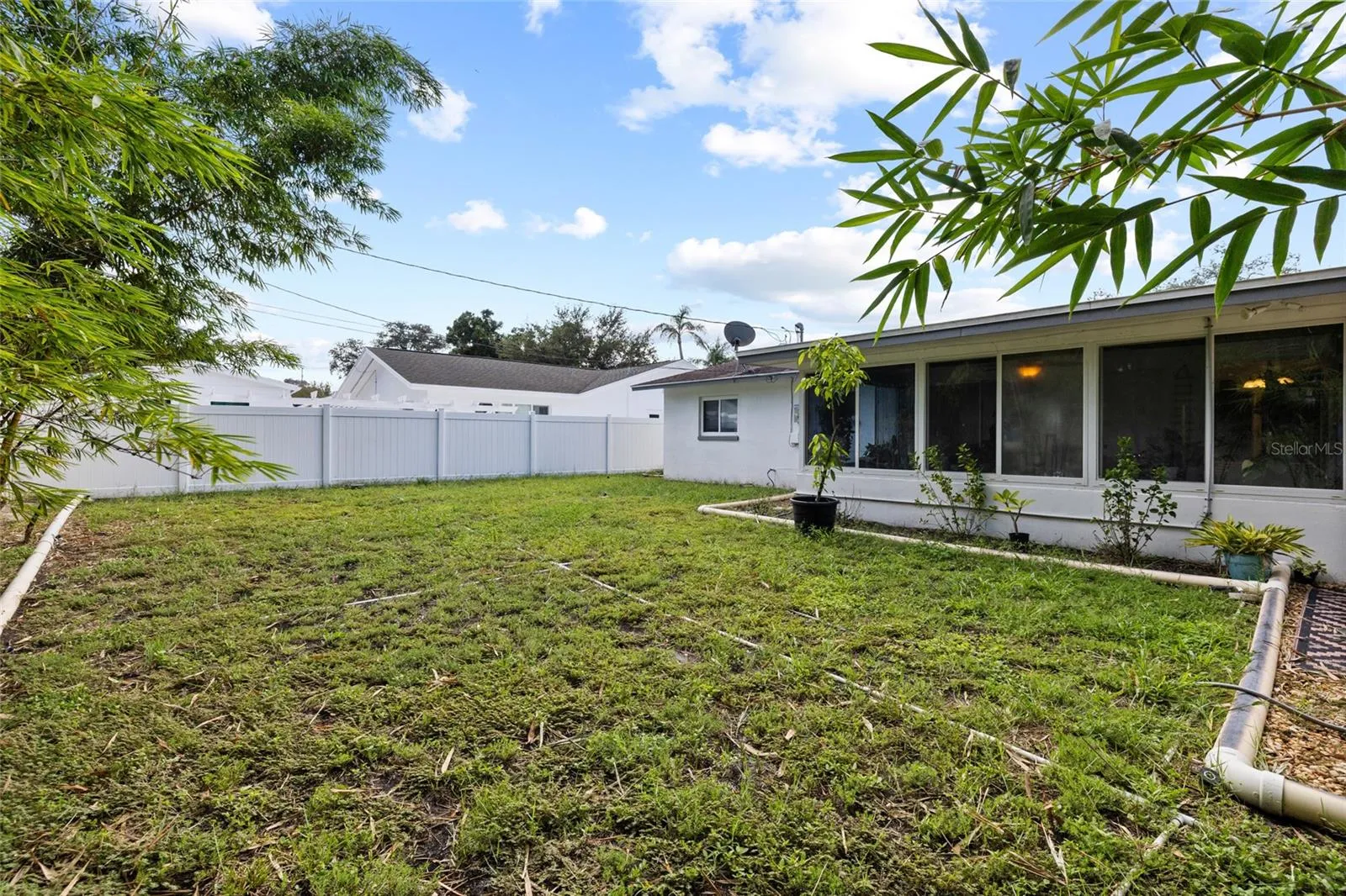 Large backyard