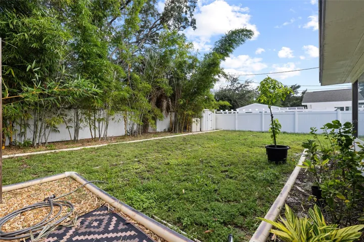 Large backyard