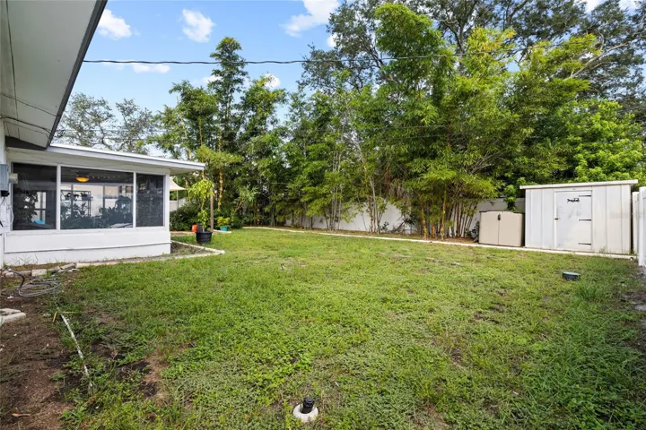 Large backyard