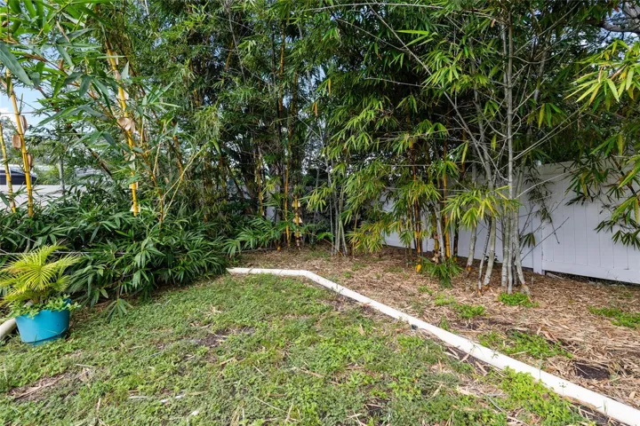 Large backyard