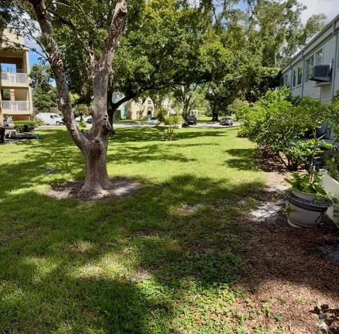 The view…big trees & green grass.  Perfect for mingling with the neighbors.
