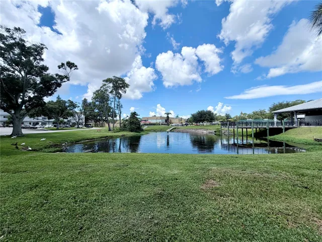 A view of the pond leading to one of the pools and clubhouse.