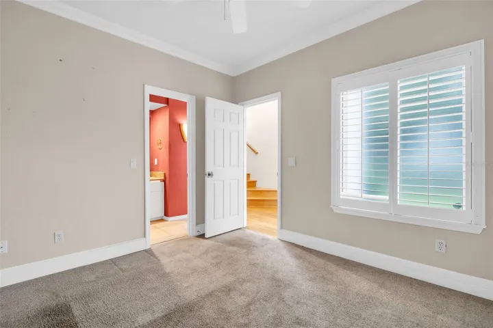 Downstairs office/ guest room