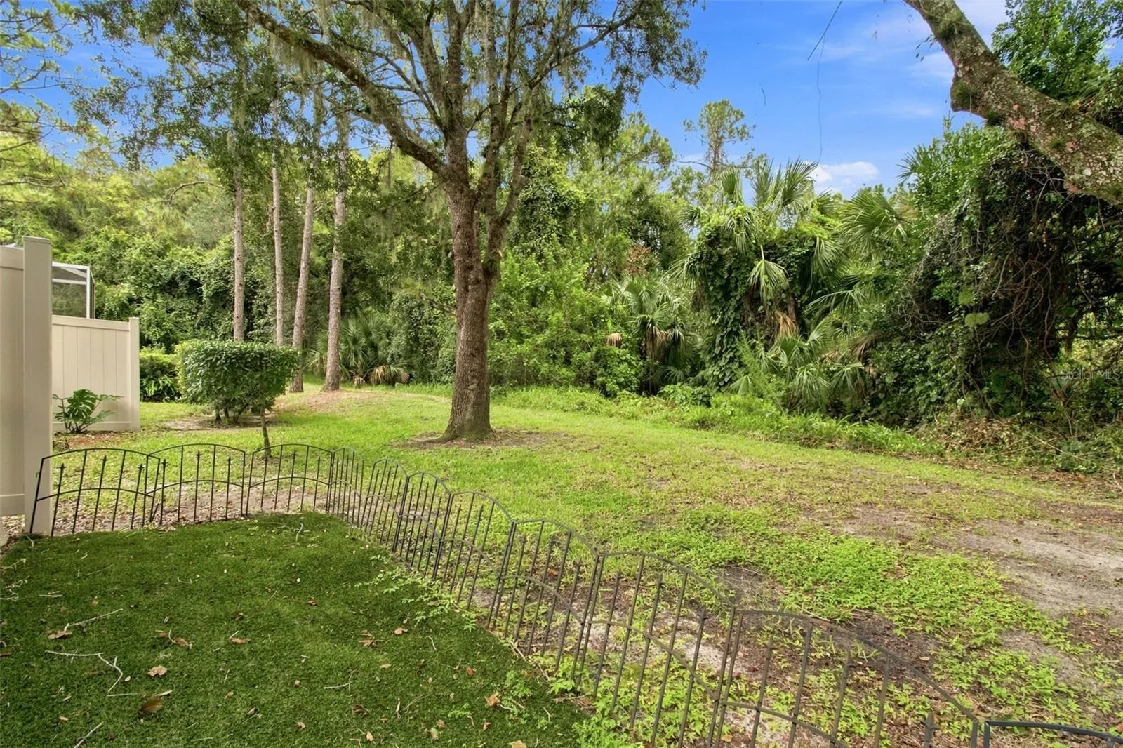 Conservation View